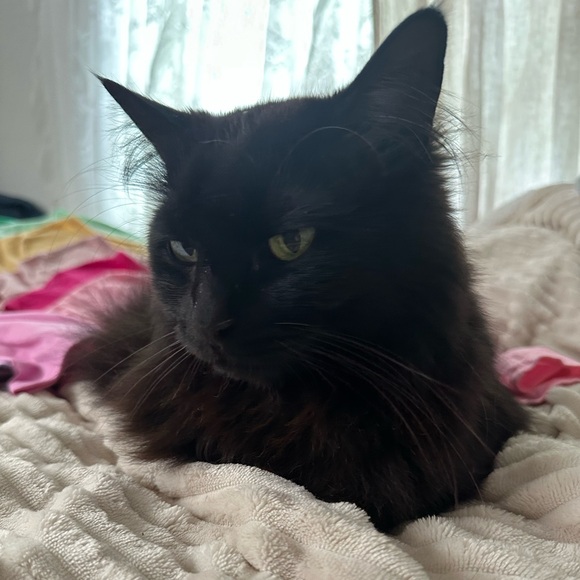 Meet your Posher, Stefanie - Picture 2 of 2